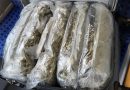 Zoll stoppt Drogenschmuggler im Reisezug – Zollhündin Akira spürt Drogen im Wert von knapp 58.000 Euro auf
